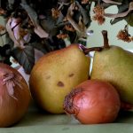 A still life composition featuring pears and onions arranged on a green tablecloth.