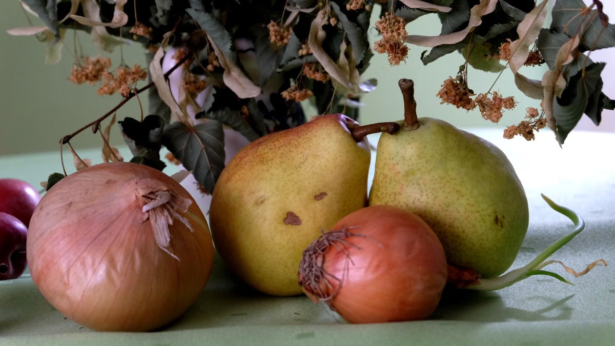 A still life composition featuring pears and onions arranged on a green tablecloth.